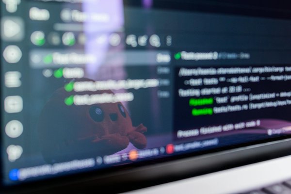 Früherkennung und erfolgreiche Bewältigung von Verhaltensproblemen bei Zwergpudeln: Ratgeber für engagierte Hundehalter